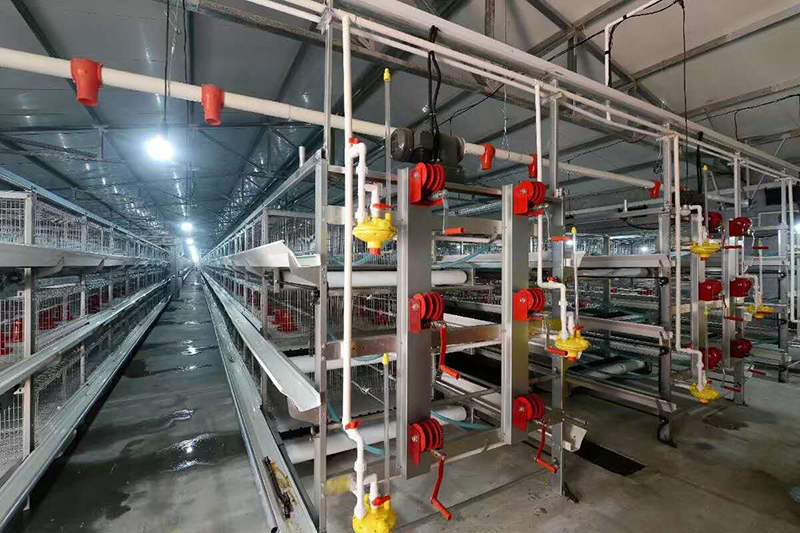 肉鸡装备喂料机为什么会梗塞？？？？？