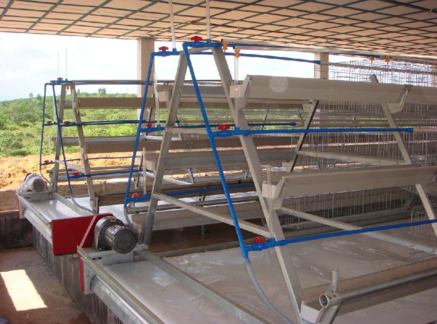 磨练全自动养鸡装备的清静有什么需要注重的事项吗？？？？？