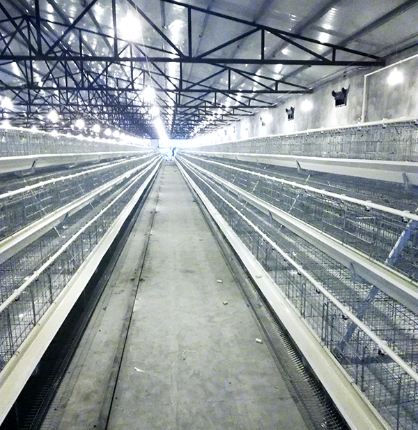 GA黄金甲畜牧蛋鸡装备的手艺要求有哪些？？？？？？？