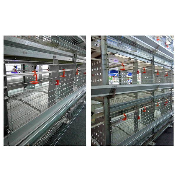 肉鸡装备厂家剖析鸡病频发的缘故原由