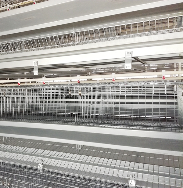 规；；；；；；；；唐返凹Τ〔畋鹆凹ψ氨赣湃醯闫饰 